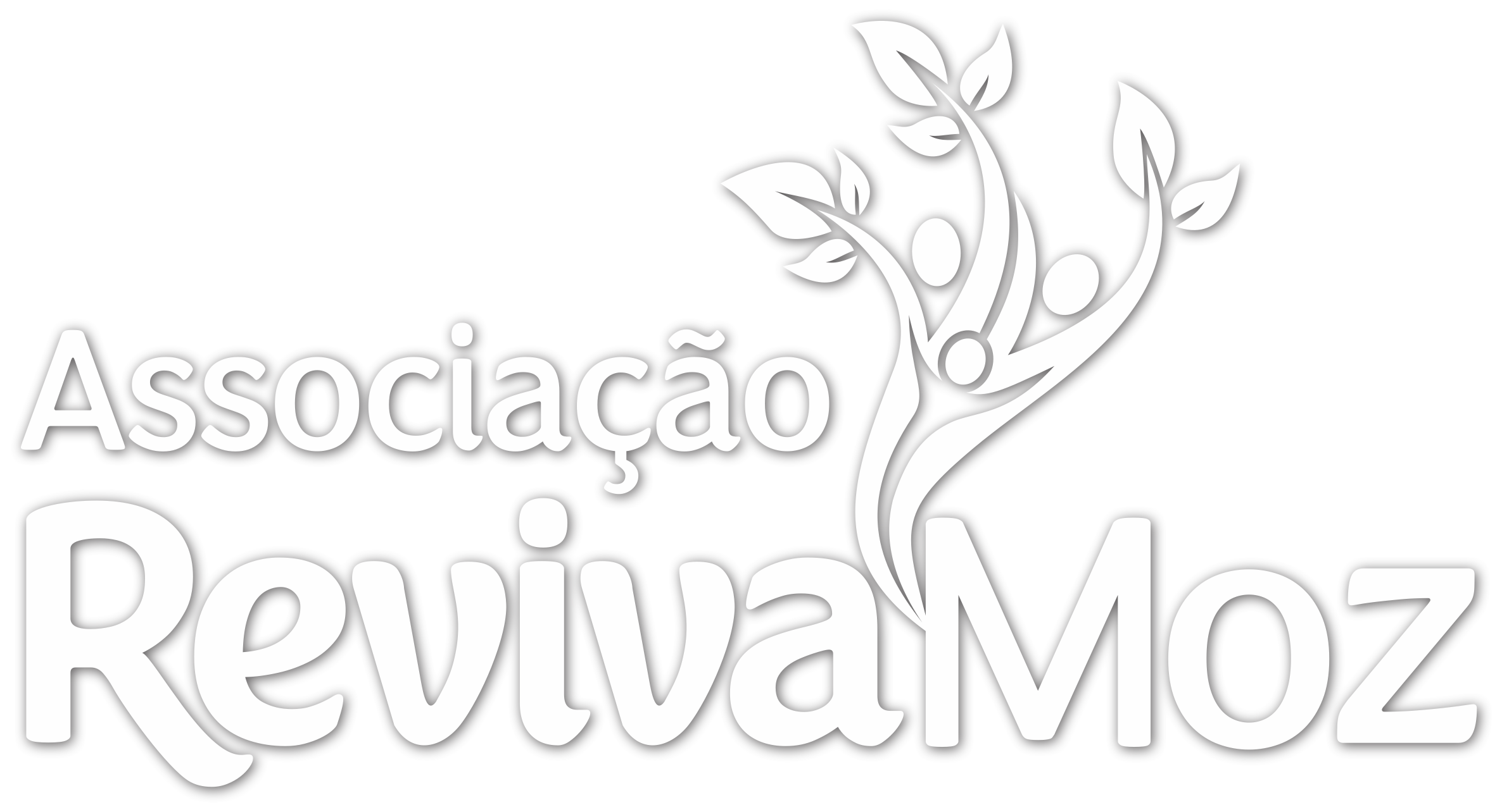 Associação Reviva Moz